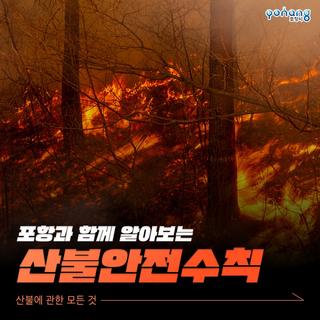 산불안전수칙, 포항과 함께 알아보는 산불에 관한 모든 것!