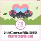러브버그 퇴치, 대응, 대처는 이렇게!