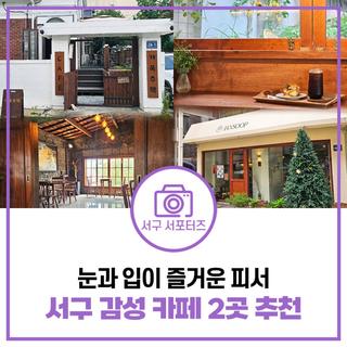 눈과 입이 즐거운 곳으로 피서 떠나요! 서구 감성 카페 2곳 추천