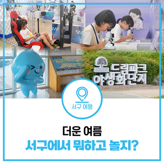 여름 놀거리 코스, 서구에서 시원하게 즐기는 4곳 추천! 검단선사박물관, 로봇체험관, 드림파크, 아라타워