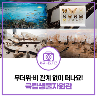 무더위 & 비 피해 아이와 함께 가기 좋은 곳! 인천 서구 국립생물자원관