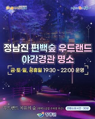 편백숲 우드랜드 야간경관 명소