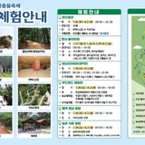 물축제기간, 우드랜드 체험 안내