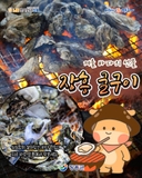 겨울 바다의 진짜 맛, 장흥 굴구이!