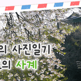 [전북특별자치도의 사계(四季) 4월] 머물고 싶은 임실 여행 명소
