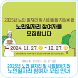 2025 노인일자리 및 사회활동 지원사업 참여자 모집 (~12. 27.)
