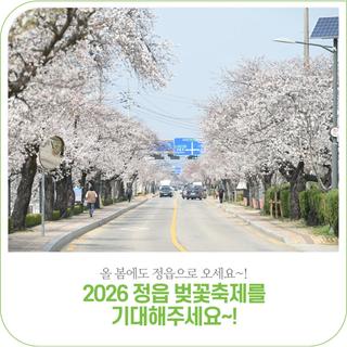2026 정읍시 벚꽃축제를 기대해주세요!