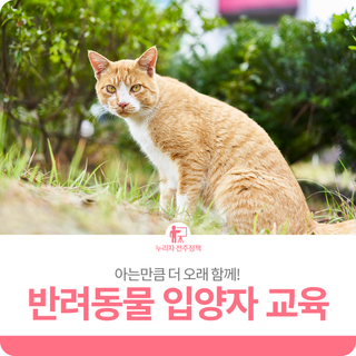 아는 만큼 더 오래 함께! ‘반려동물 입양자 교육’
