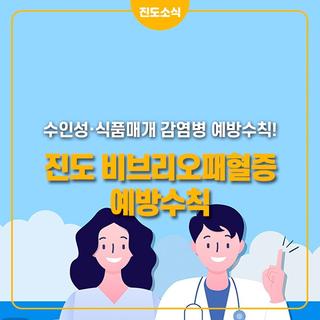 비브리오패혈증 예방수칙