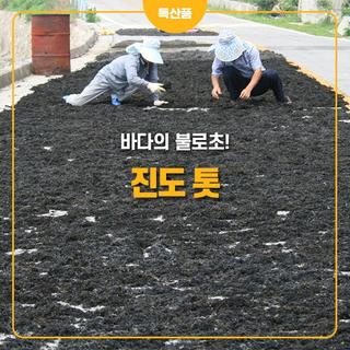 바다의 불로초!천혜의 환경에서 자란 진도톳