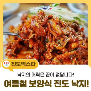 [낙지요리 레시피]여름철 보양식 진도 낙지의 매력을 알아보아요~!