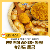 진도 땅에 숨어있는 황금 특산물! 진도울금의 모든 것
