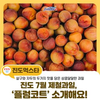 [진도 아리랑] 진도의 7월 제철 과일,‘플럼코트’ 소개해요!