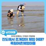 진도에서 여름, 이색 조개잡이체험 어때? 죽림어촌체험마을