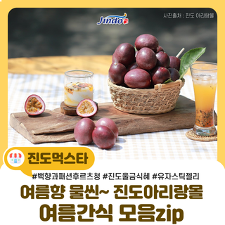 여름향 물씬나는 진도아리랑몰 여름간식 모음zip