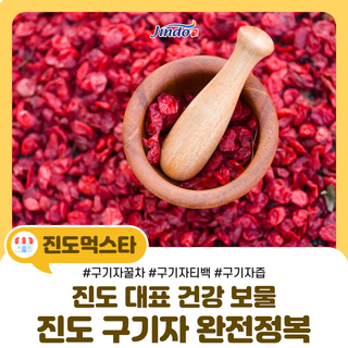 [진도 특산품] 진도 대표 건강 보물, 구기자로 건강을 챙기세요!