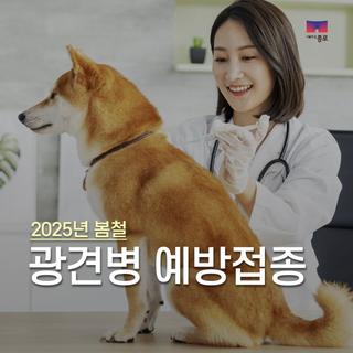 2025년 봄철 광견병 예방접종 실시