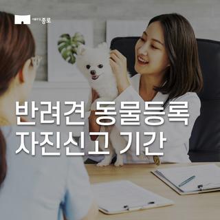 반려견 동물등록 자진신고! 반려견 등록은 의무입니다.