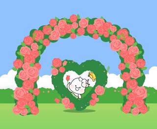 중랑구 장미 지금이 피크! 이번 주 놓치면 1년 후에 만날 수 있어요~