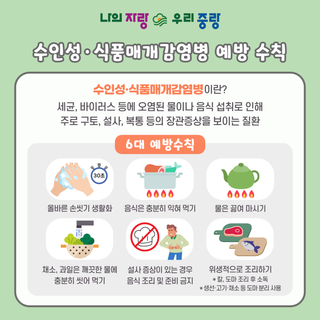 수인성·식품매개감염병 예방 수칙 안내