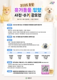2025 중랑 유기동물 입양 사진·수기 공모전 안내