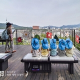 [수상작 소개] 내편중구 남산자락숲길 2025 사진 공모전