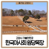 고양 가볼만한곳 한국마사회 원당목장 말구경과 산책