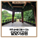 푸른 숲속을 걷을 수 있는 달맞이공원