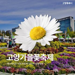 꽃·예술·막걸리·야경… 9월, 고양시가 축제로 물든다!