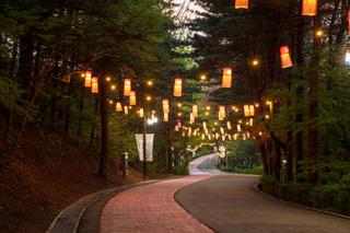 ☀️ 2026년 첫 해, 행주산성 해맞이 안내