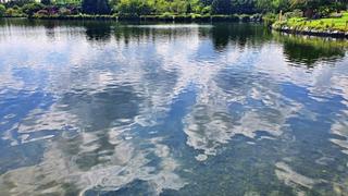 겨울과 봄 사이, 고양에서 꼭 걸어봐야 할 산책코스 TOP 3