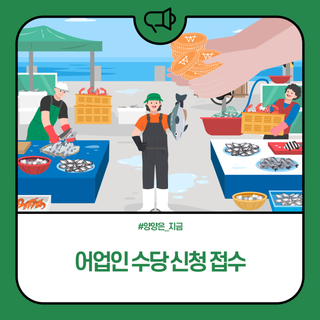 양양군, 어업인 수당 신청 접수