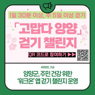 양양군, 주민 건강 위한 '워크온' 앱 걷기 챌린지 운영