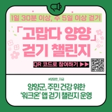 양양군, 주민 건강 위한 '워크온' 앱 걷기 챌린지 운영