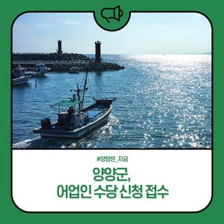 양양군, 어업인 수당 신청 접수