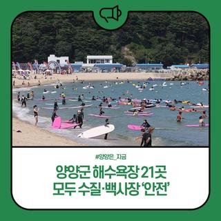 양양군 해수욕장 21곳 모두 수질·백사장 '안전'