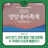 송이 향기, 연어 물결 … 가을 양양을 두 축제로 뜨겁게 물들인다