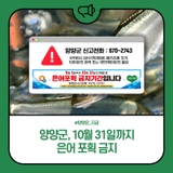 양양군, 10월 31일까지 은어 포획 금지