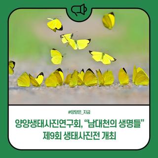 양양생태사진연구회, “남대천의 생명들” 제9회 생태사진전 개최