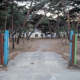오래된 수령의 소나무길을 걸으며 힐링하는 공간, 기회송림공원
