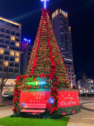 평화광장 대형트리 | 시민 여러분께 전하는 Merry christmas