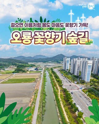 무안 워커블시티 맨발길 [오룡 꽃향기 숲길]