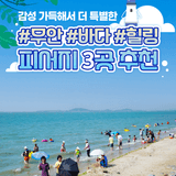 감성 가득해서 더 특별한, 무안 바다 힐링 피서지 3곳 추천