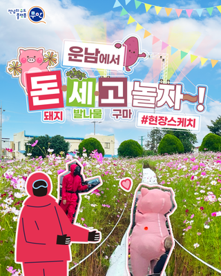 무안 운남, 돈·세·고 놀던 현장 속으로!