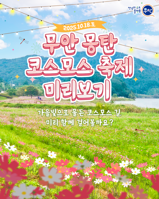 2025 무안 몽탄 코스모스 축제 미리 살펴보기!