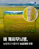 벼 깨씨무늬병, 농림축산식품부의 농업재해 인정