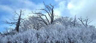 눈꽃여행 명소 무주 향적봉! 올겨울 첫눈 소식 도착❄️