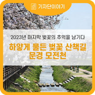 문경 벚꽃명소 추천 , 2023년 마지막 벚꽃의 추억을 남기다 문경 모전천