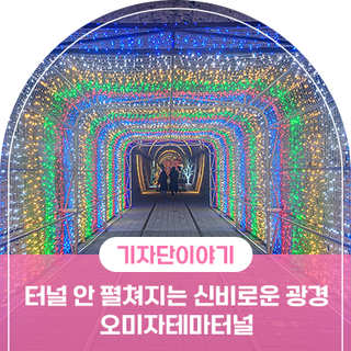 문경 여행지 , 터널 안에서 펼쳐지는 신비로운 광경 오미자테마터널