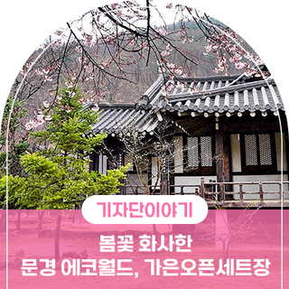 문경 명소 , 봄꽃 화사한 문경에코월드 가은오픈세트장 우중산책